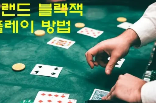 카지노 10 5 - 도전과 즐거움의 세계